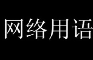 網(wǎng)絡用語二次元世代是什么梗