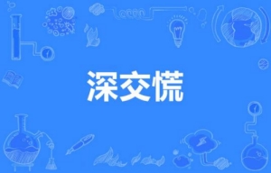 網(wǎng)絡流行語深交慌是什么梗