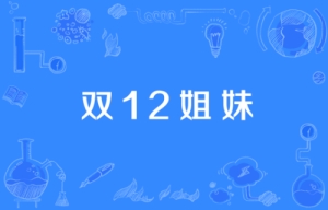 網(wǎng)絡流行語雙12姐妹是什么梗