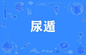 網絡流行詞尿遁是什么梗