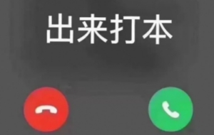 網絡用語劇本殺全息本是什么梗