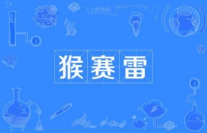 網絡用語猴賽雷是什么梗