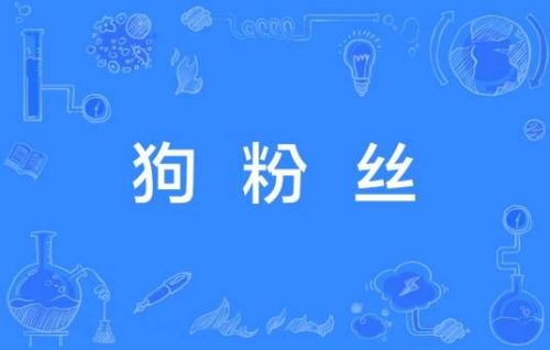 網(wǎng)絡(luò)用語狗粉絲是什么梗 狗粉絲梗含義介紹