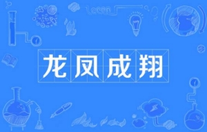 網(wǎng)絡用語龍鳳成翔是什么梗 龍鳳成翔梗含義介紹