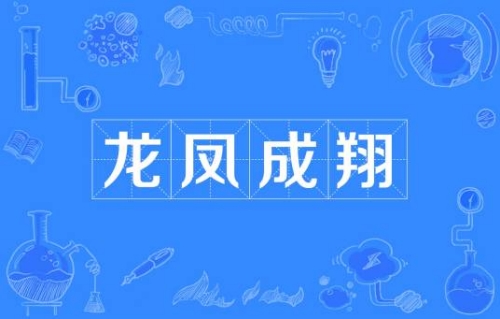 網(wǎng)絡(luò)用語龍鳳成翔是什么梗 龍鳳成翔梗含義介紹