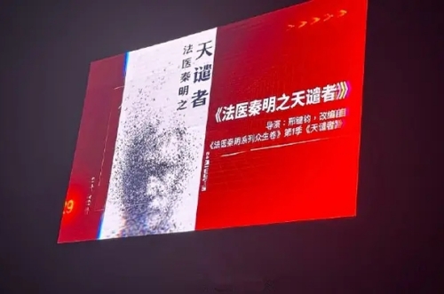 《法醫(yī)秦明之天譴者》原著小說是什么 劇情講的什么