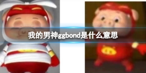 我的男神ggbond是什么梗 我的男神ggbond梗意思介紹