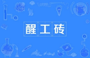 網絡用語醒工磚是什么梗