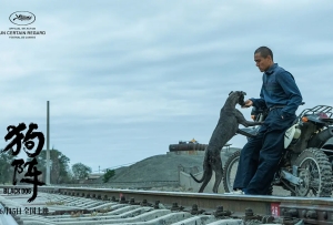 《狗陣》定檔6月15日全國上映 彭于晏、佟麗婭領(lǐng)銜主演