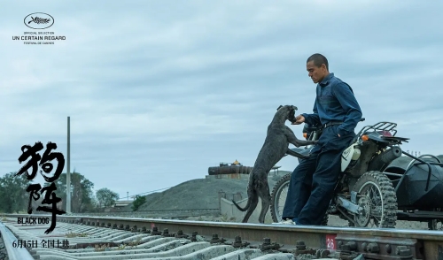 《狗陣》定檔6月15日全國上映 彭于晏、佟麗婭領(lǐng)銜主演