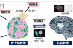 中國首創(chuàng)：人腦驅(qū)動機器人技術(shù)成功